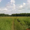 Земля под ИЖС, с. Ульяновка, ул. Магистральная Земля под ИЖС, с. Ульяновка, ул. Магистральная