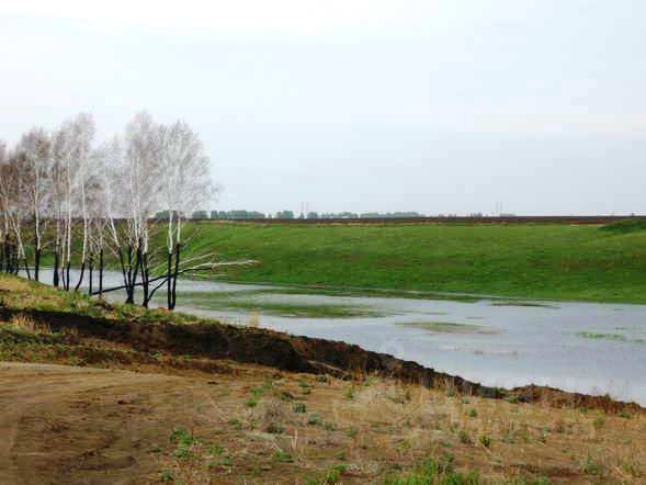 Александровская усадьба Омск. Александровская усадьба. Александровская усадьба Омская область достопримечательности.