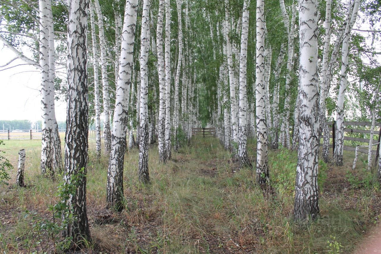 Земельные участки омская