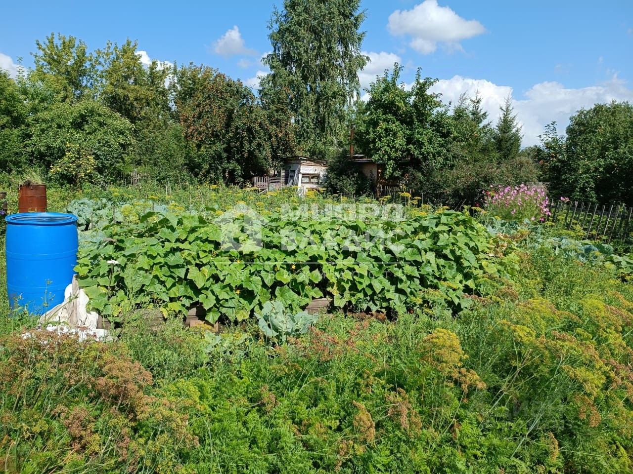 Снт Спектр Омск Купить Дачу