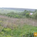 Земля под ИЖС, ЯКОВЛЕВО Земля под ИЖС, ЯКОВЛЕВО