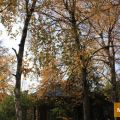 Земля под ИЖС, Д.ШУЛЬГИНО Земля под ИЖС, Д.ШУЛЬГИНО