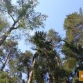 Земля под ИЖС, ПОЗДНЯКОВО Земля под ИЖС, ПОЗДНЯКОВО