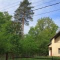 Земля под ИЖС, НОВОДАРЬИНО Земля под ИЖС, НОВОДАРЬИНО