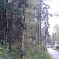 Дачные участки, УРОЖАЙ Дачные участки, УРОЖАЙ