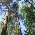 Земля под ИЖС, НОВОДАРЬИНО Земля под ИЖС, НОВОДАРЬИНО