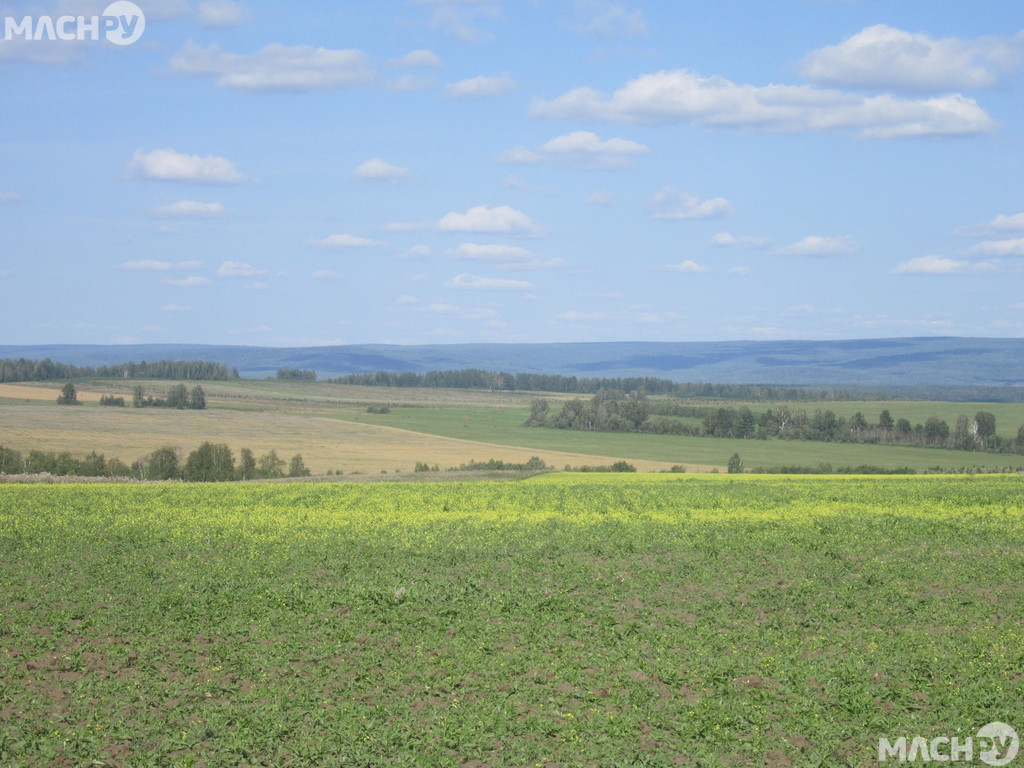 Купить Земельный Пай В Крыму Красногвардейский Район