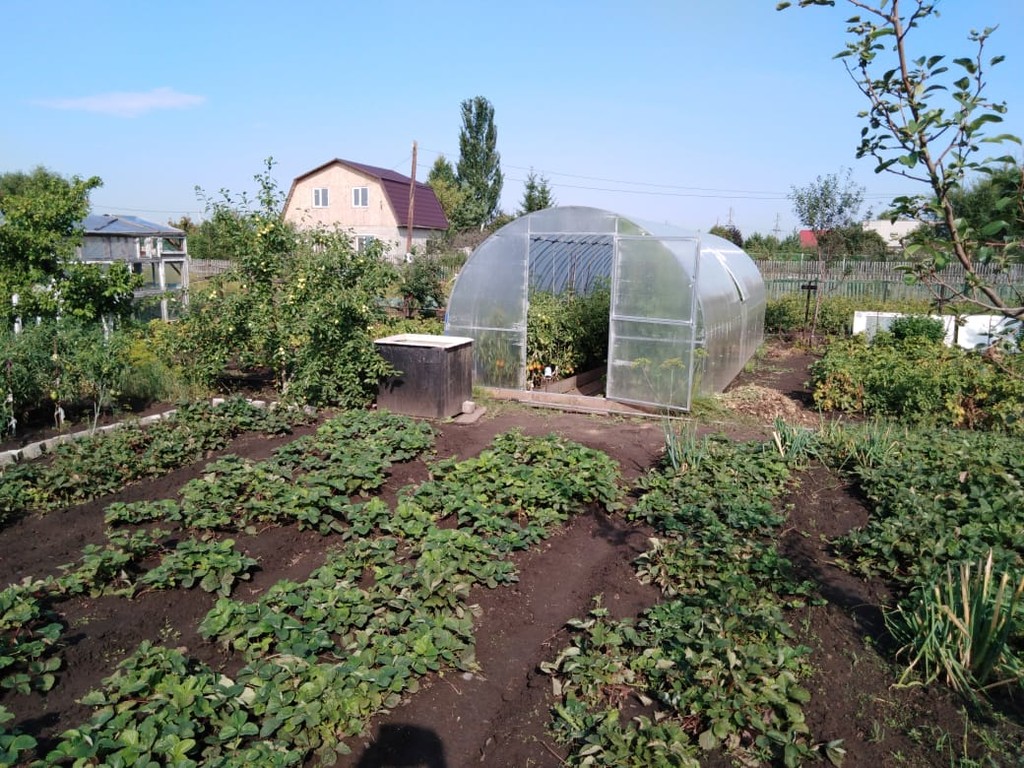 Дача Снт Энергия Омск Купить