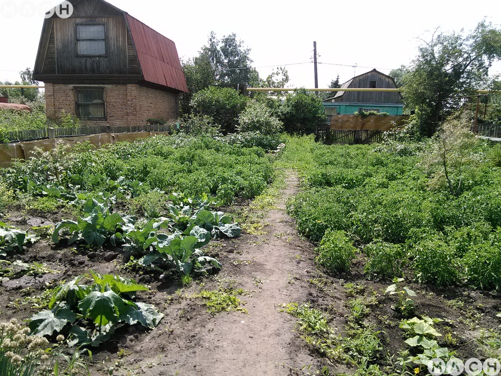 Купить Дачу В Снт Колос Рязанская Область