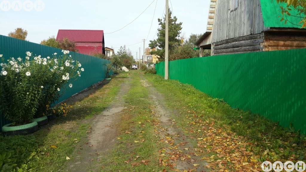 СНТ Тополек Ангарск. Председатель СНТ Тополек. СНТ 45.