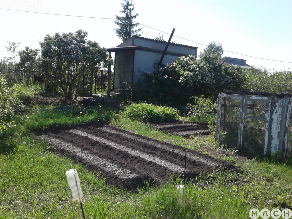 Купить Дачу В Снт Здоровье В Омске