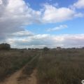 Земля под ИЖС, УЛ. СОГЛАСИЯ Земля под ИЖС, УЛ. СОГЛАСИЯ