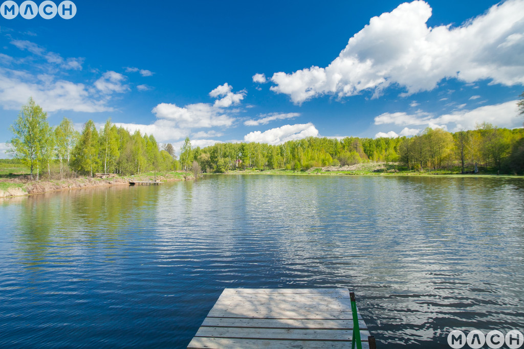 Участки возле озера. Озеро Карповка. Озеро в Карповке. Участки в лесу у озера Московская. КП лес и озеро на озере пионерское.