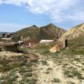 Садоводство, СТ ПЛАНЕТА Садоводство, СТ ПЛАНЕТА