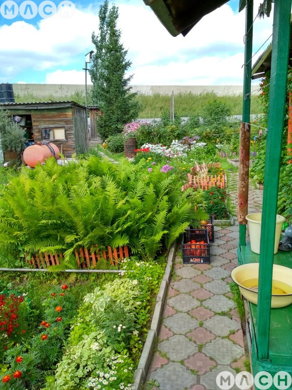 Объявление №9035857 - продажа дачи в Омске, дп. сдт Шинник-1 (ЛАО), 60 ...