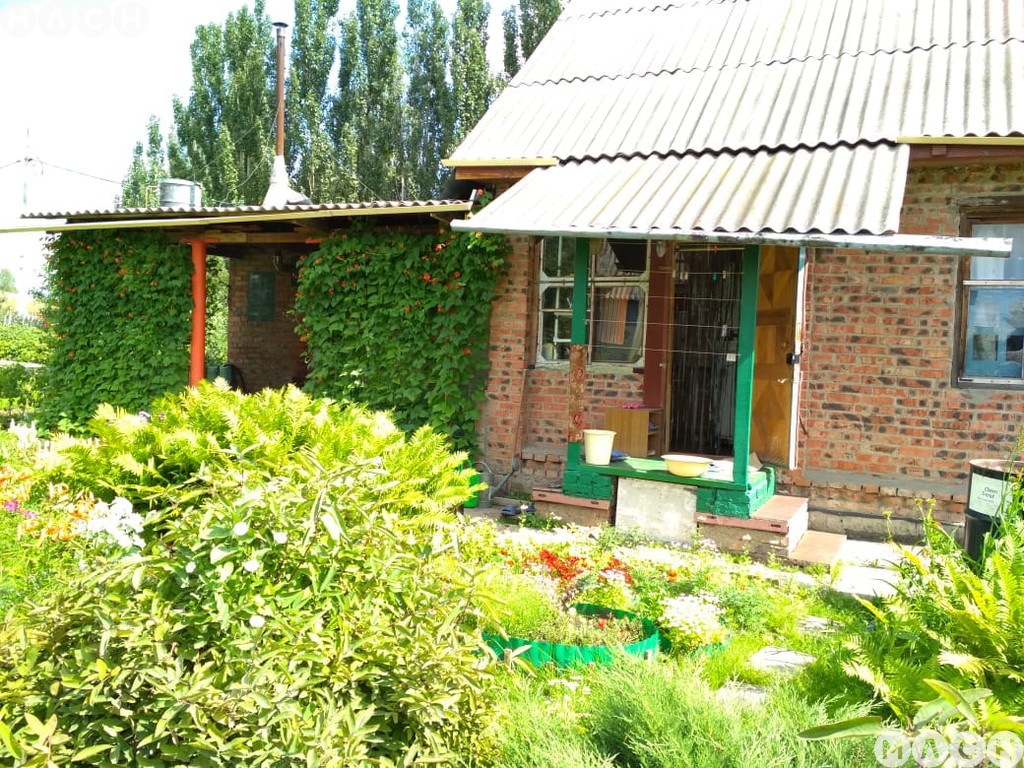 Объявление №9035857 - продажа дачи в Омске, дп. сдт Шинник-1 (ЛАО), 60 ...