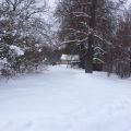 Земля под ИЖС, Д. СПАС-КУПЛЯ, Д.СПАС-КУПЛЯ Земля под ИЖС, Д. СПАС-КУПЛЯ, Д.СПАС-КУПЛЯ
