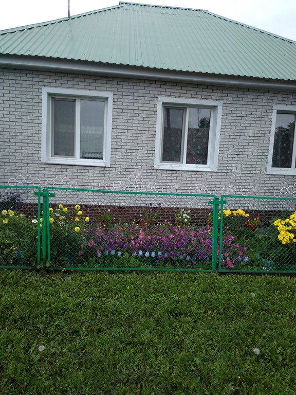 Авито омск. Новологиново Большереченский район. Тара село Новологиново. Село Новологиново Омской области. Дом в Большеречье.