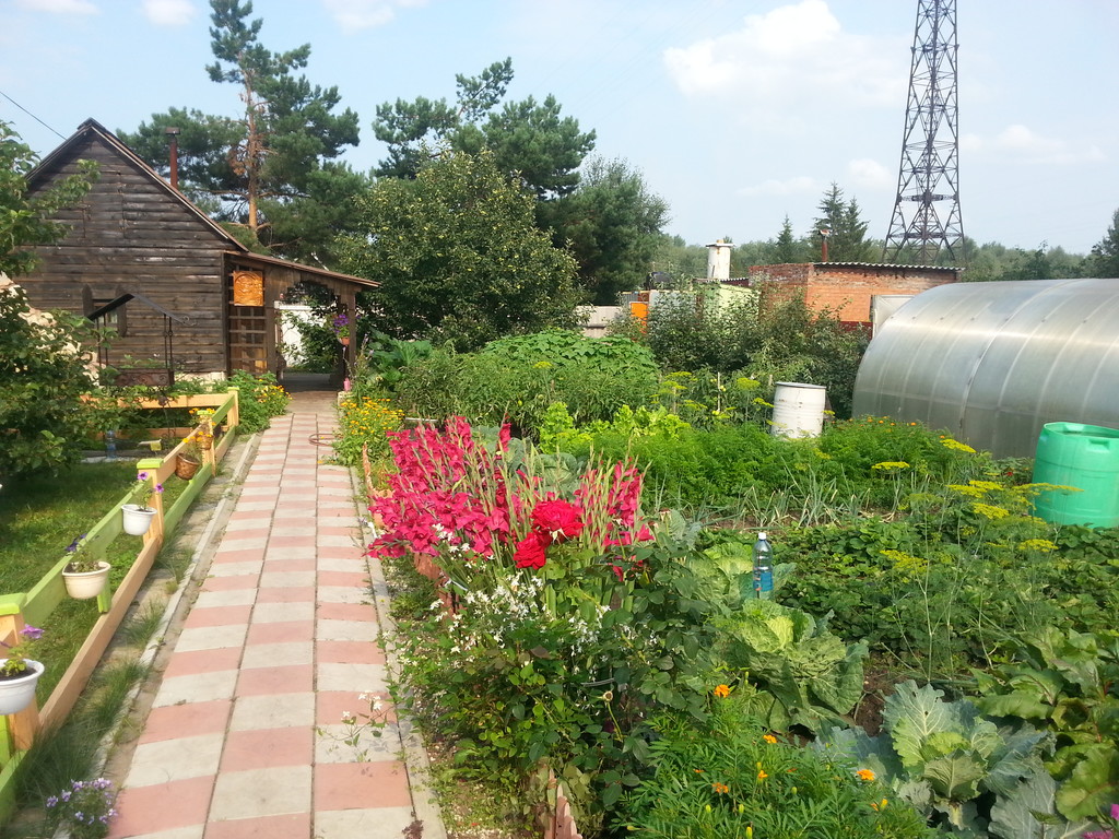 Купить Дачу В Лукьяновке Омск