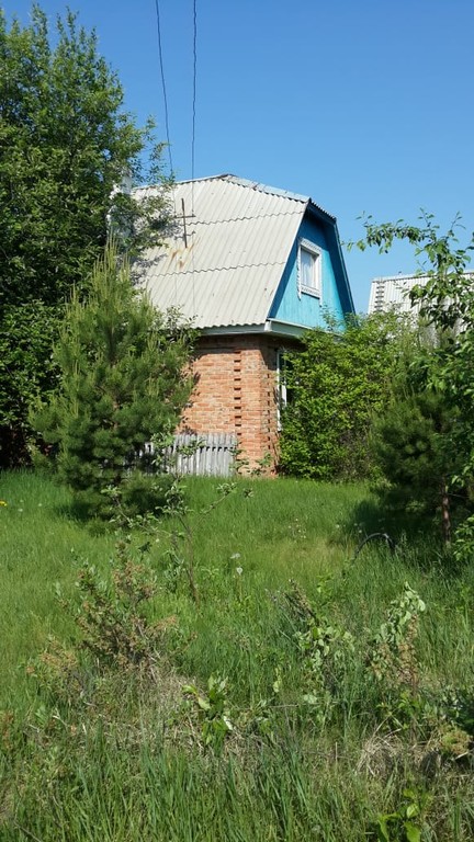 Объявление №9188144 - продажа дачи в Омске - MLSN.RU Омск