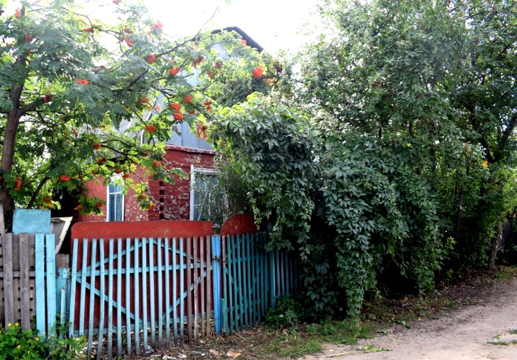 Объявление №9205493 - продажа дачи в Омске, дп. сдт Тепличный-2 (ЛАО), 50 м². - MLSN.RU Омск