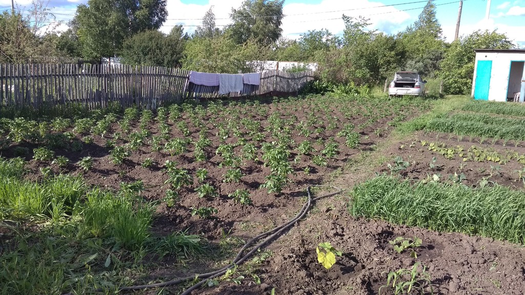 Купить Дачу Участок В Омске