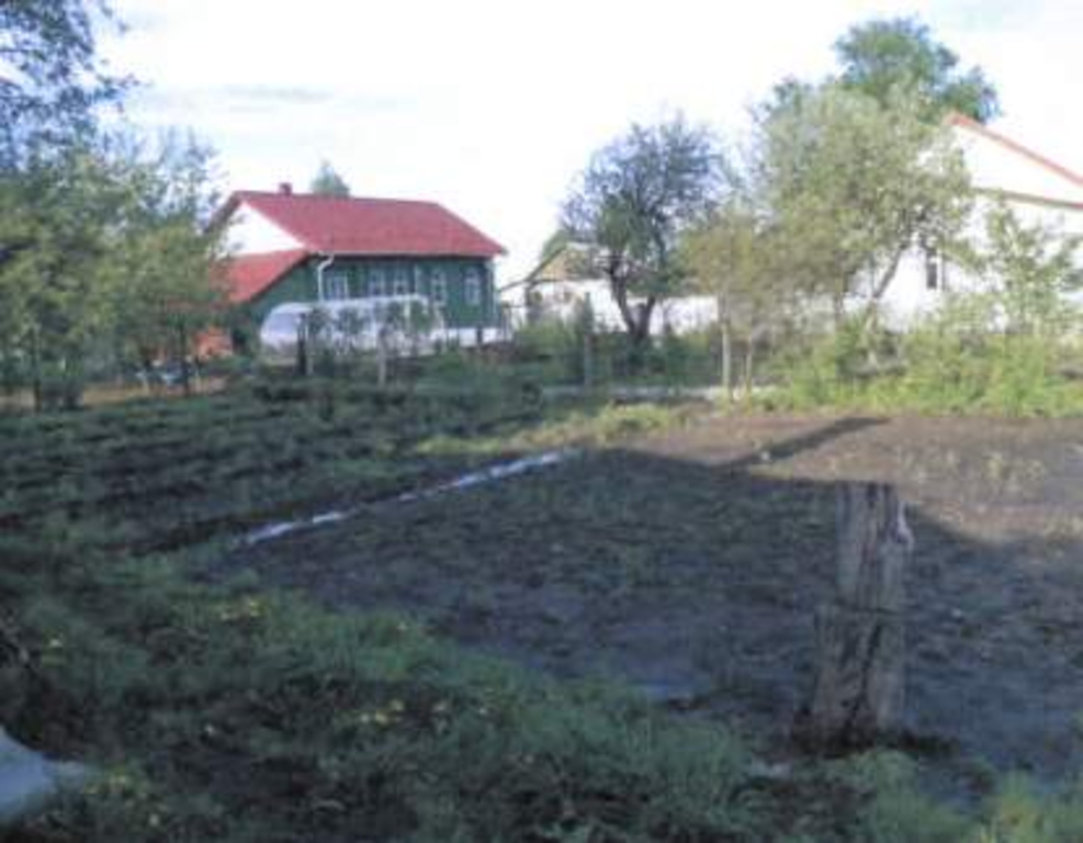 Купить Дом В Д Дружба