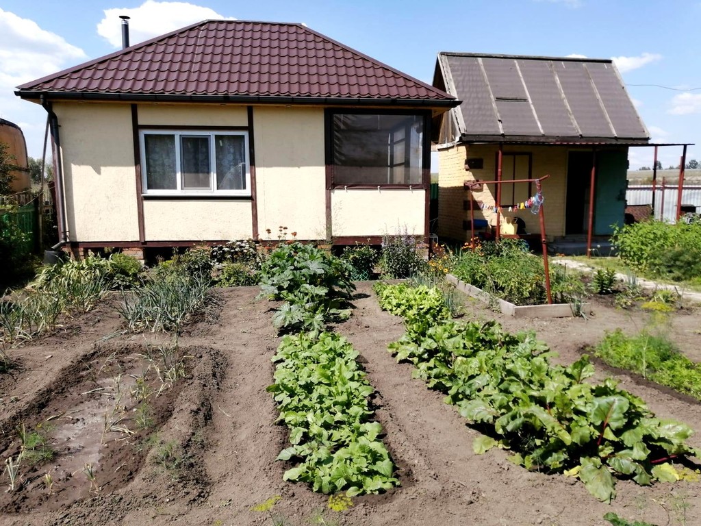 Купить Дачу В Омске Дорожник