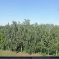 2-комнатная квартира, УЛ. БЕРЕЗОВАЯ 2-комнатная квартира, УЛ. БЕРЕЗОВАЯ