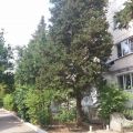 Комната, СЕВАСТОПОЛЬ, ГЕРОЕВ ПОДВОДНИКОВ 6 Комната, СЕВАСТОПОЛЬ, ГЕРОЕВ ПОДВОДНИКОВ 6
