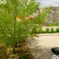 2-комнатная квартира, ПРОЕЗД. ЗАРЕЧНЫЙ, 37 2-комнатная квартира, ПРОЕЗД. ЗАРЕЧНЫЙ, 37