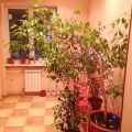 3-комнатная квартира, УЛ. ВОДОПЬЯНОВА, 2 3-комнатная квартира, УЛ. ВОДОПЬЯНОВА, 2