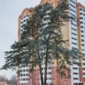 2-комнатная квартира, ДМИТРОВ Г, ДМИТРОВ Г ИМ ВЛАДИМИРА МАХАЛИНА МКР 2-комнатная квартира, ДМИТРОВ Г, ДМИТРОВ Г ИМ ВЛАДИМИРА МАХАЛИНА МКР