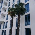 3-комнатная квартира, УЛ. ЦВЕТОЧНАЯ, 30 3-комнатная квартира, УЛ. ЦВЕТОЧНАЯ, 30