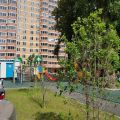 1-комнатная квартира, УЛ. УЛЬЯНОВЫХ, 31 1-комнатная квартира, УЛ. УЛЬЯНОВЫХ, 31