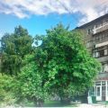 3-комнатная квартира, УЛ. ЛУНАЧАРСКОГО, 10 3-комнатная квартира, УЛ. ЛУНАЧАРСКОГО, 10