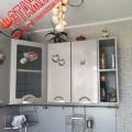 1-комнатная квартира, НИЖНЕВАРТОВСК, 60 ЛЕТ ОКТЯБРЯ 1 1-комнатная квартира, НИЖНЕВАРТОВСК, 60 ЛЕТ ОКТЯБРЯ 1