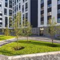 1-комнатная квартира, УЛ. ГАСТЕЛЛО, 27 1-комнатная квартира, УЛ. ГАСТЕЛЛО, 27