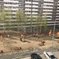1-комнатная квартира, МКР. БЕРЕЗОВЫЙ, 110 1-комнатная квартира, МКР. БЕРЕЗОВЫЙ, 110