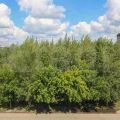 3-комнатная квартира, УЛ. КАМЧАТСКАЯ 3-комнатная квартира, УЛ. КАМЧАТСКАЯ