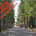 1-комнатная квартира, НИЖНЕВАРТОВСК, ПИОНЕРСКАЯ 3 1-комнатная квартира, НИЖНЕВАРТОВСК, ПИОНЕРСКАЯ 3