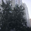 1-комнатная квартира, УЛ. СУЗДАЛЬСКАЯ, 12 К2 1-комнатная квартира, УЛ. СУЗДАЛЬСКАЯ, 12 К2