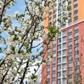 1-комнатная квартира, САНКТ-ПЕТЕРБУРГ Г, САНКТ-ПЕТЕРБУРГ Г КОМЕНДАНТСКИЙ ПР-КТ 1-комнатная квартира, САНКТ-ПЕТЕРБУРГ Г, САНКТ-ПЕТЕРБУРГ Г КОМЕНДАНТСКИЙ ПР-КТ