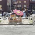 2-комнатная квартира, УЛ. ЛЬВА ТОЛСТОГО, 38Г 2-комнатная квартира, УЛ. ЛЬВА ТОЛСТОГО, 38Г