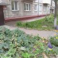 1-комнатная квартира, УЛ. ЭМИЛИИ АЛЕКСЕЕВОЙ, 51 1-комнатная квартира, УЛ. ЭМИЛИИ АЛЕКСЕЕВОЙ, 51