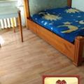 1-комнатная квартира, ПЕР. ПУШКИНА, 27Д 1-комнатная квартира, ПЕР. ПУШКИНА, 27Д