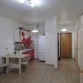 1-комнатная квартира, ПЕР. СВЕТЛЫЙ, 3 1-комнатная квартира, ПЕР. СВЕТЛЫЙ, 3