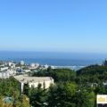 3-комнатная квартира, УЛ. ОРЕХОВАЯ 3-комнатная квартира, УЛ. ОРЕХОВАЯ