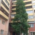 1-комнатная квартира, Б-Р. БРЕСТСКИЙ, 13 1-комнатная квартира, Б-Р. БРЕСТСКИЙ, 13