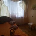 3-комнатная квартира, УЛ. АНТОНА ПЕТРОВА, 241 3-комнатная квартира, УЛ. АНТОНА ПЕТРОВА, 241